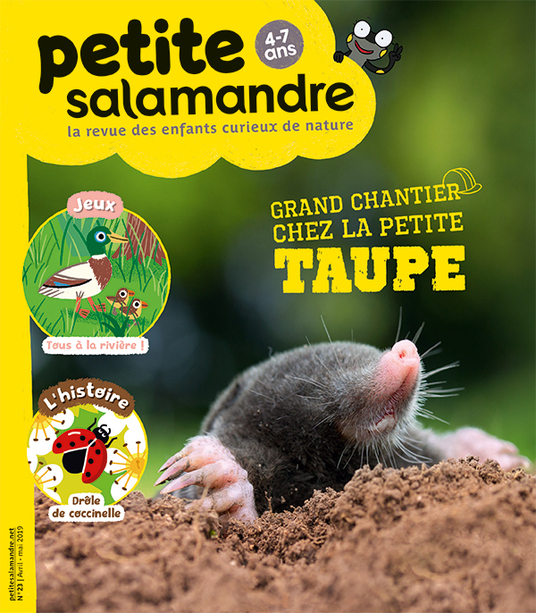 Grand chantier chez la petite taupe (n° 23) - e-Librairie  Forêt.Nature/Salamandre